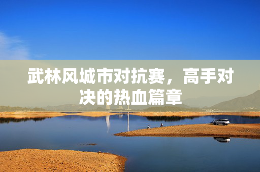 武林风城市对抗赛，高手对决的热血篇章