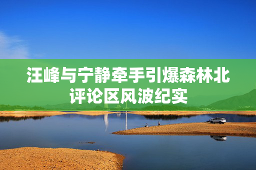 汪峰与宁静牵手引爆森林北评论区风波纪实