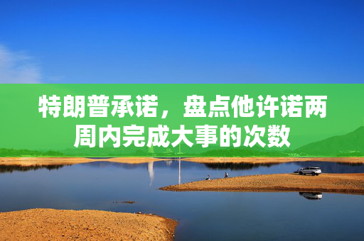 特朗普承诺，盘点他许诺两周内完成大事的次数
