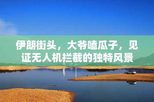 伊朗街头，大爷嗑瓜子，见证无人机拦截的独特风景