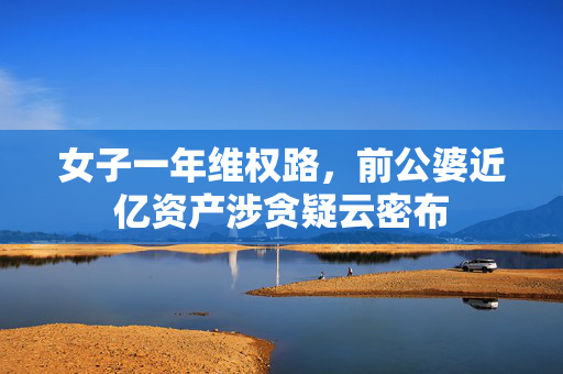 女子一年维权路，前公婆近亿资产涉贪疑云密布