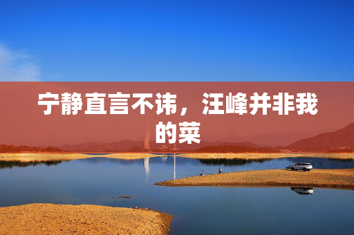 宁静直言不讳，汪峰并非我的菜