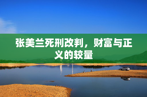 张美兰死刑改判，财富与正义的较量