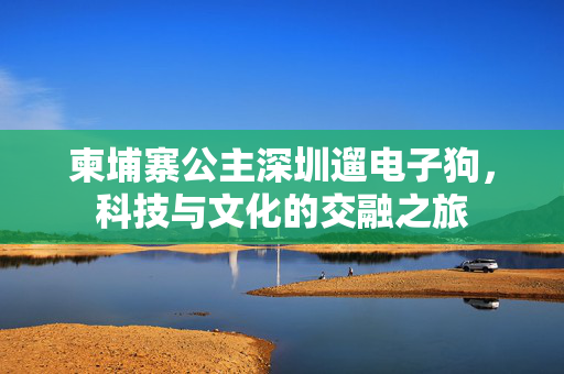 柬埔寨公主深圳遛电子狗，科技与文化的交融之旅