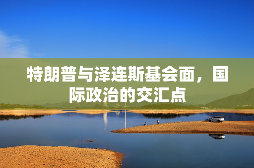 特朗普与泽连斯基会面，国际政治的交汇点