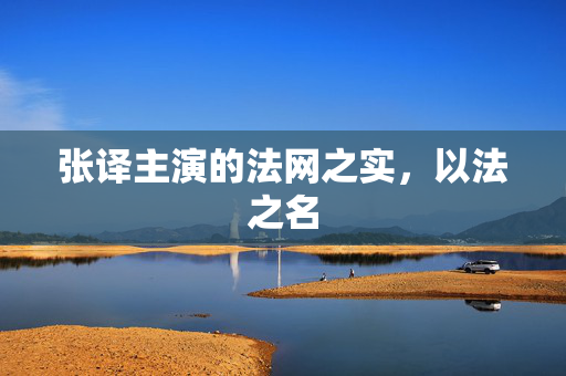 张译主演的法网之实，以法之名