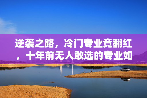 逆袭之路，冷门专业竟翻红，十年前无人敢选的专业如今大放异彩