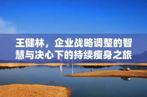 王健林，企业战略调整的智慧与决心下的持续瘦身之旅