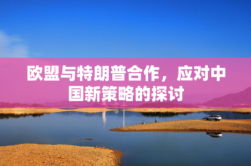 欧盟与特朗普合作，应对中国新策略的探讨