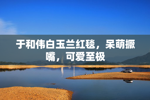 于和伟白玉兰红毯，呆萌撅嘴，可爱至极