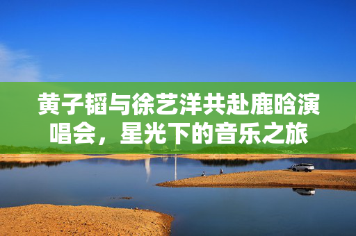 黄子韬与徐艺洋共赴鹿晗演唱会，星光下的音乐之旅