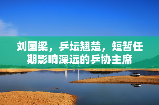 刘国梁，乒坛翘楚，短暂任期影响深远的乒协主席