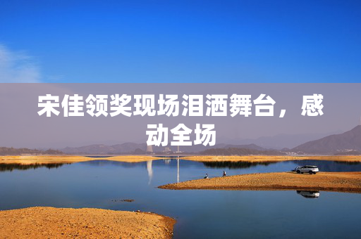 宋佳领奖现场泪洒舞台，感动全场