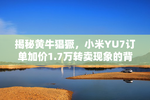 揭秘黄牛猖獗，小米YU7订单加价1.7万转卖现象的背后真相