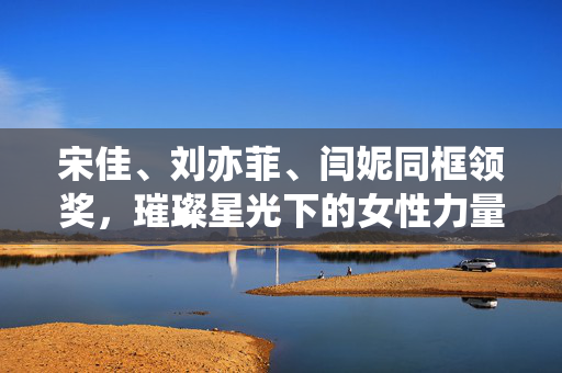 宋佳、刘亦菲、闫妮同框领奖，璀璨星光下的女性力量
