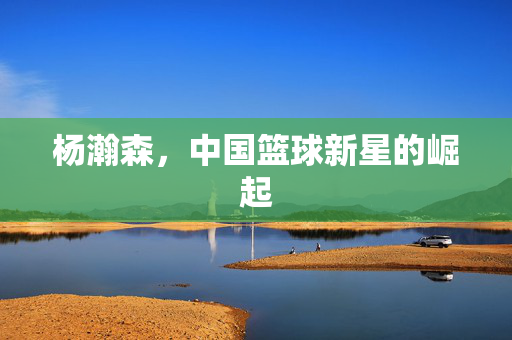 杨瀚森，中国篮球新星的崛起