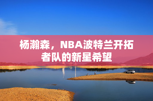 杨瀚森，NBA波特兰开拓者队的新星希望