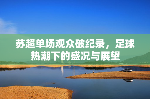 苏超单场观众破纪录，足球热潮下的盛况与展望