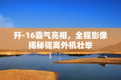 歼-16霸气亮相，全程影像揭秘驱离外机壮举
