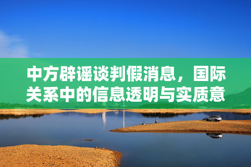 中方辟谣谈判假消息，国际关系中的信息透明与实质意义的重要性