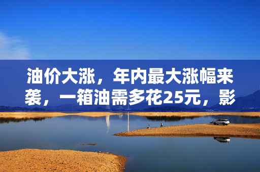 油价大涨，年内最大涨幅来袭，一箱油需多花25元，影响与应对策略