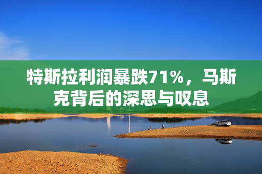 特斯拉利润暴跌71%，马斯克背后的深思与叹息