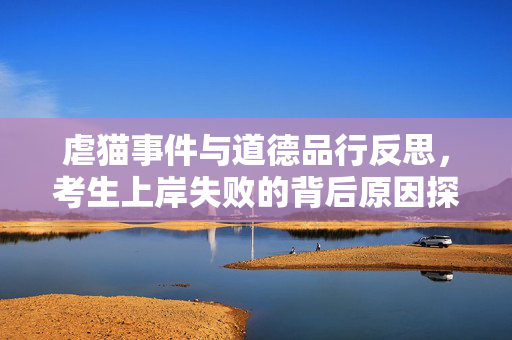 虐猫事件与道德品行反思，考生上岸失败的背后原因探究