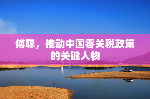 傅聪，推动中国零关税政策的关键人物