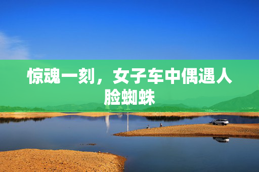 惊魂一刻，女子车中偶遇人脸蜘蛛
