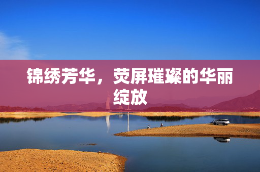 锦绣芳华，荧屏璀璨的华丽绽放
