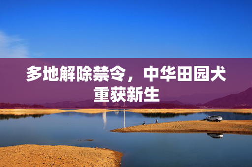 多地解除禁令，中华田园犬重获新生