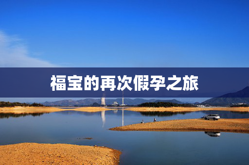 福宝的再次假孕之旅