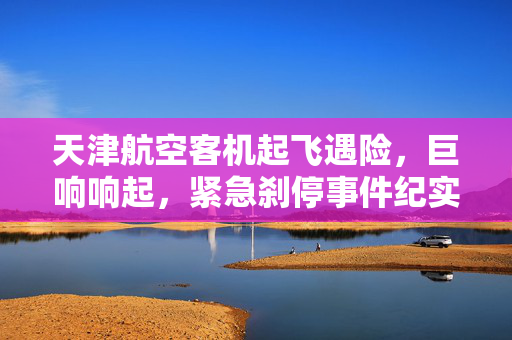天津航空客机起飞遇险，巨响响起，紧急刹停事件纪实