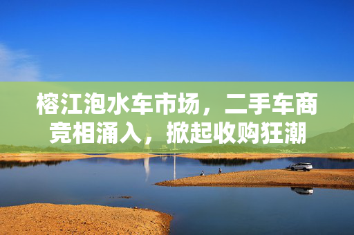 榕江泡水车市场，二手车商竞相涌入，掀起收购狂潮