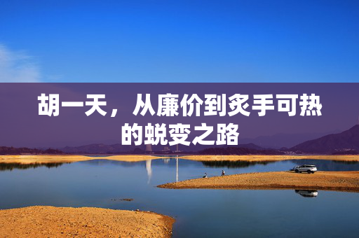 胡一天，从廉价到炙手可热的蜕变之路