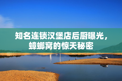 知名连锁汉堡店后厨曝光，蟑螂窝的惊天秘密