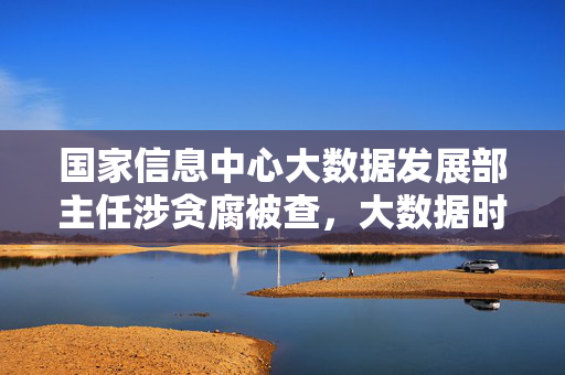国家信息中心大数据发展部主任涉贪腐被查，大数据时代的反腐风暴