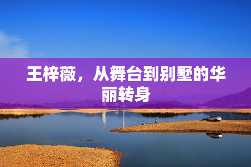 王梓薇，从舞台到别墅的华丽转身