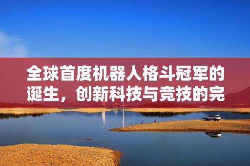 全球首度机器人格斗冠军的诞生，创新科技与竞技的完美融合