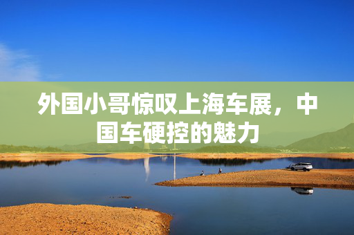 外国小哥惊叹上海车展，中国车硬控的魅力