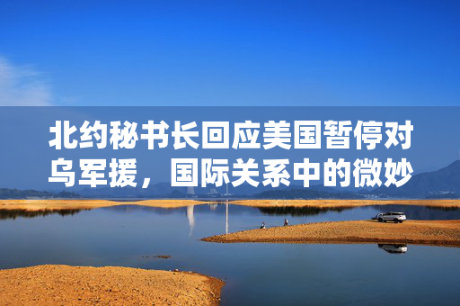 北约秘书长回应美国暂停对乌军援，国际关系中的微妙平衡
