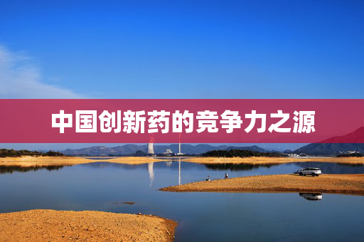 中国创新药的竞争力之源