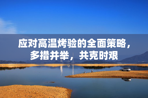 应对高温烤验的全面策略，多措并举，共克时艰