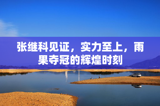 张继科见证，实力至上，雨果夺冠的辉煌时刻