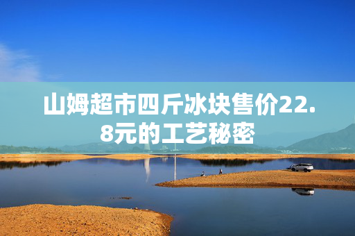 山姆超市四斤冰块售价22.8元的工艺秘密