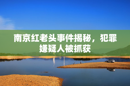 南京红老头事件揭秘，犯罪嫌疑人被抓获