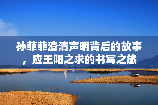 孙菲菲澄清声明背后的故事，应王阳之求的书写之旅