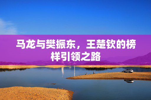 马龙与樊振东，王楚钦的榜样引领之路
