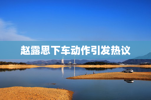 赵露思下车动作引发热议