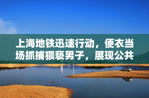 上海地铁迅速行动，便衣当场抓捕猥亵男子，展现公共交通治安新气象
